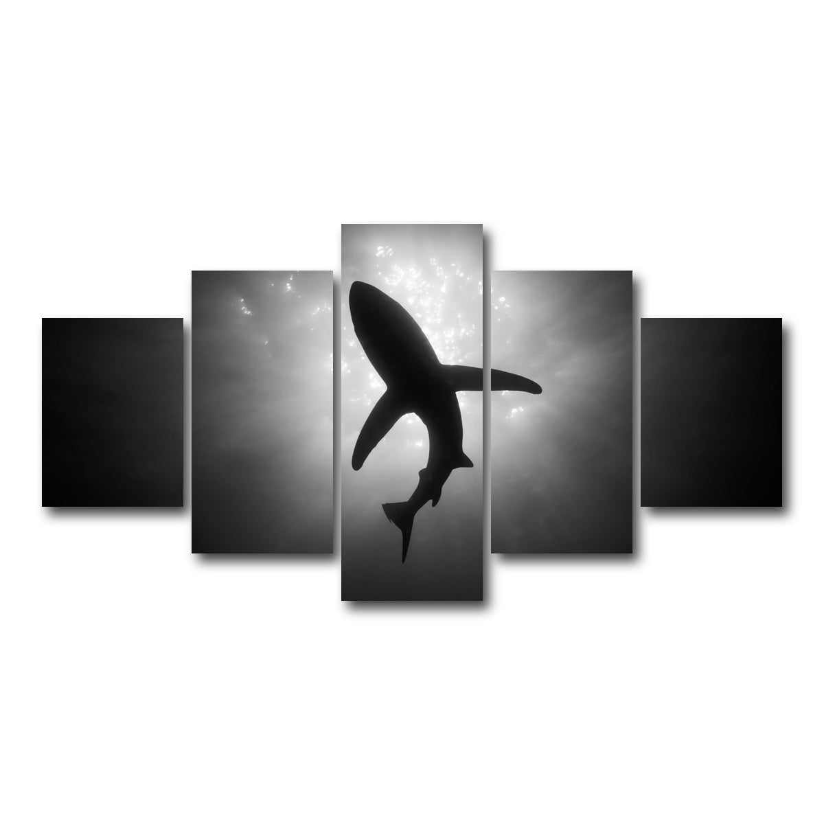 AUTO-MOCKUP WHITE | Shark Silhouette | 5 Piece | Gallery Wrap Canvas | group=5_short