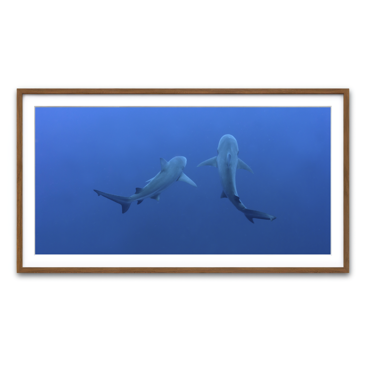 Framed Print 2x1 Walnut