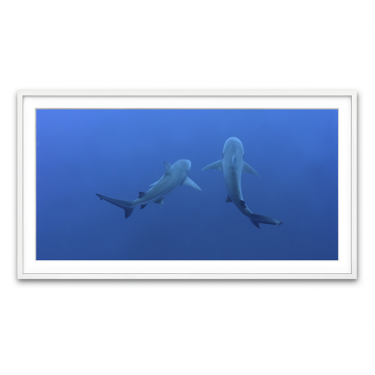 Framed Print 2x1 White