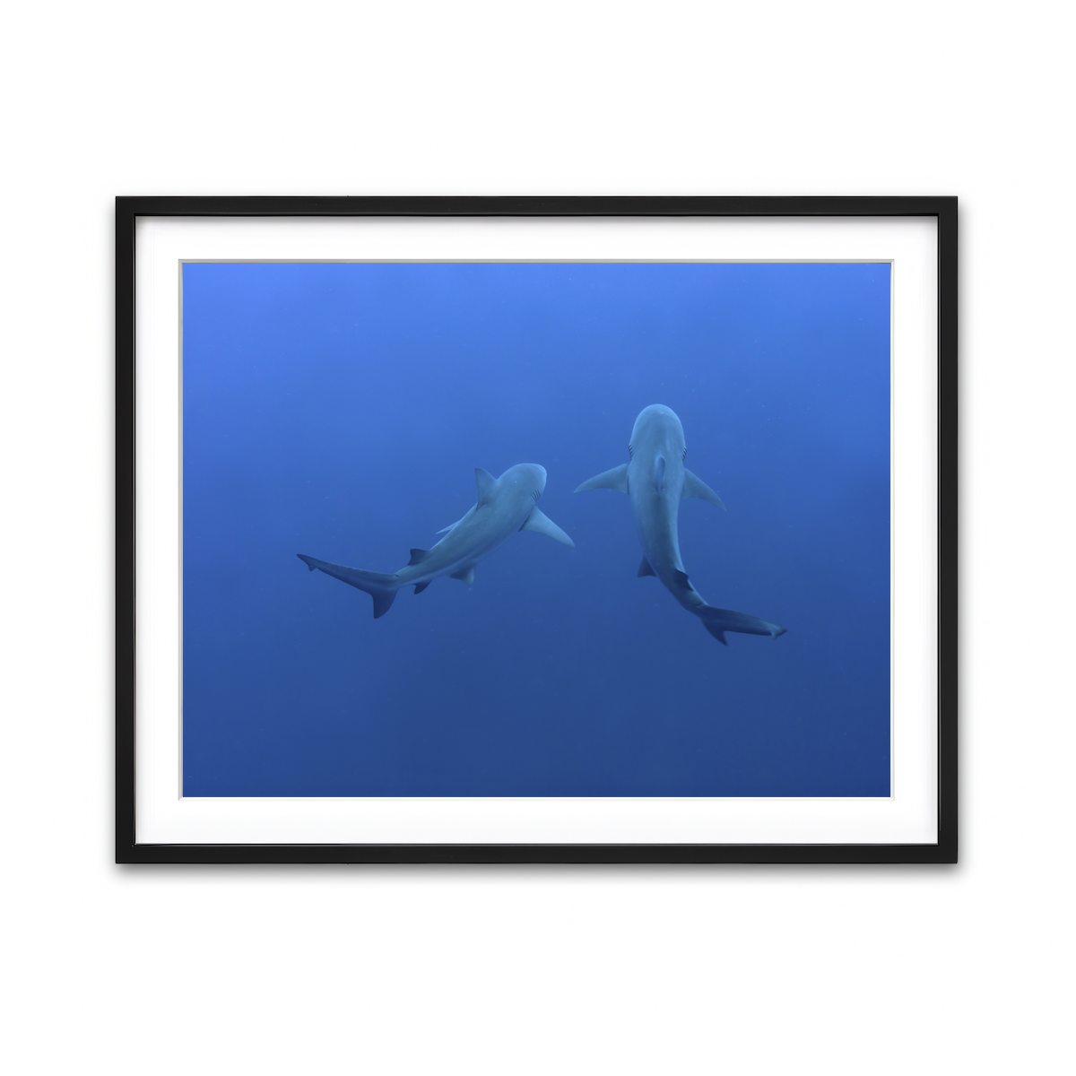 Framed Print 4x3 Black