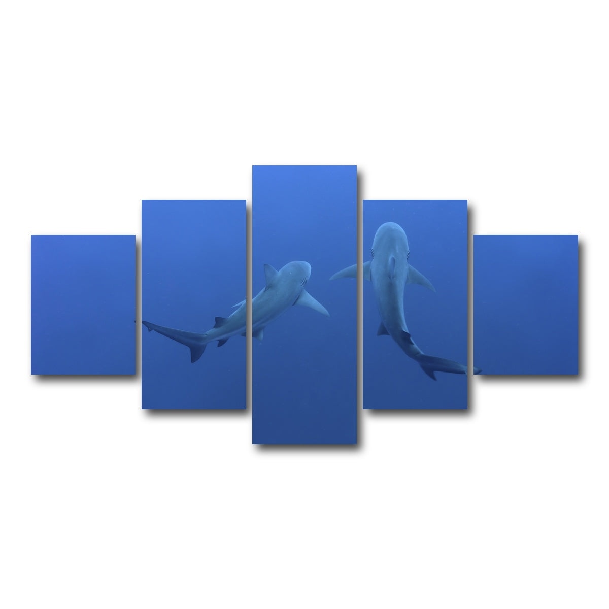 AUTO-MOCKUP WHITE | Shark mates | 5 Piece | Gallery Wrap Canvas | group=5_short