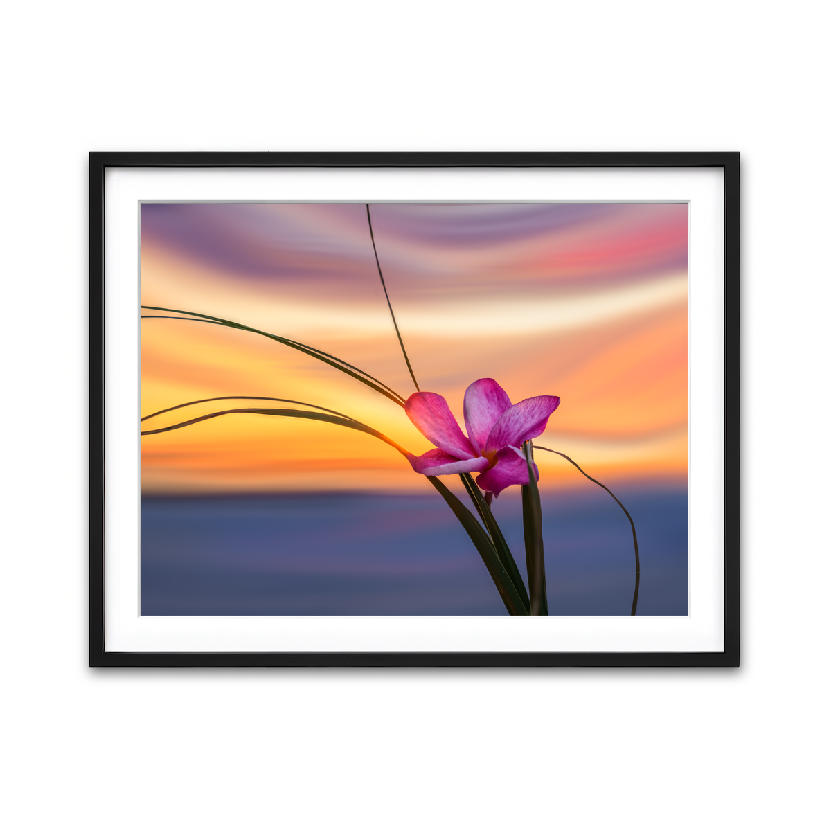 Framed Print 4x3 Black