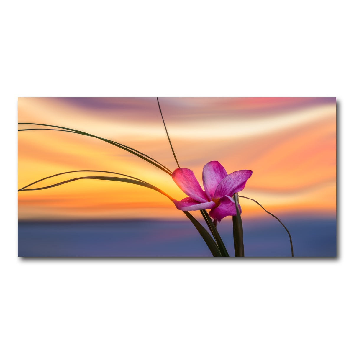 AUTO-MOCKUP WHITE | She Loves Me | 1 Piece | Gallery Wrap Canvas | group=2x1