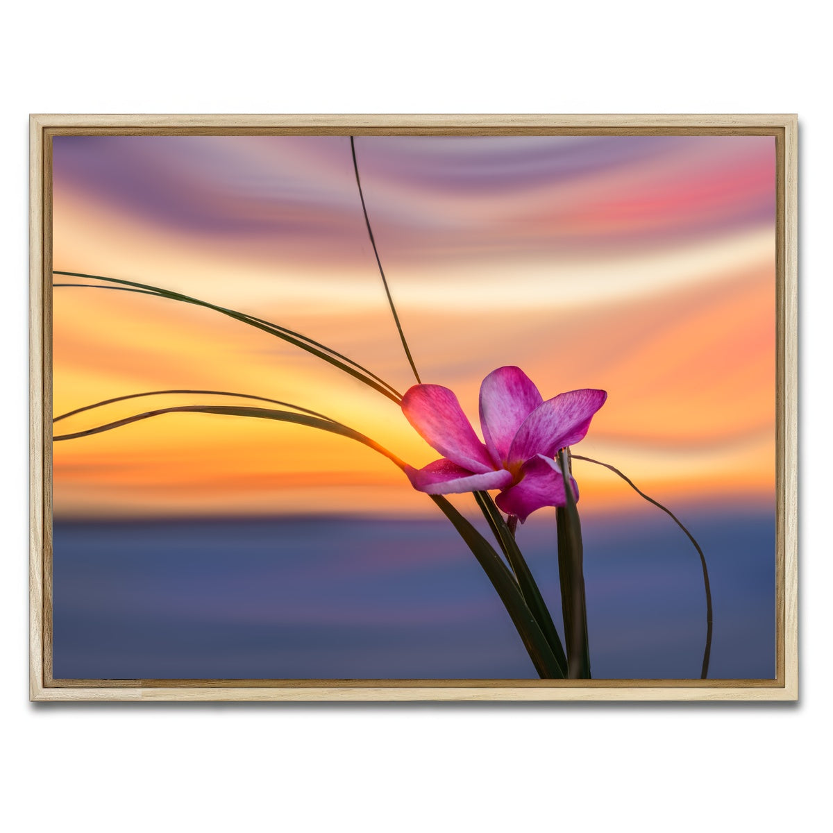 AUTO-MOCKUP WHITE | She Loves Me | 1 Piece | Natural Framed Canvas | group=4x3