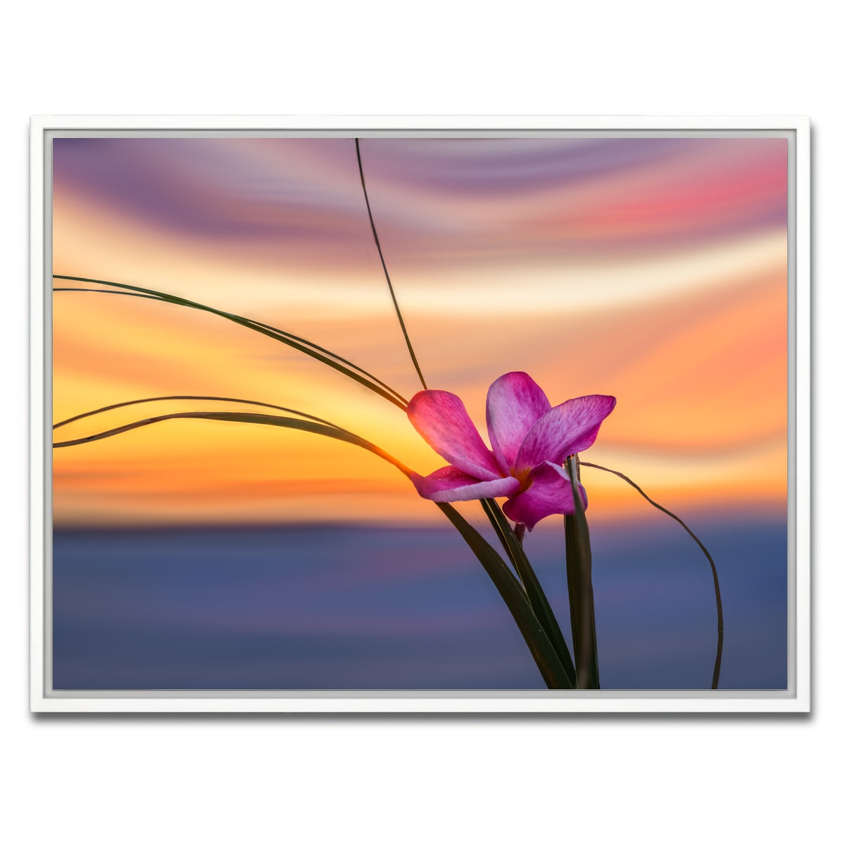 AUTO-MOCKUP WHITE | She Loves Me | 1 Piece | White Framed Canvas | group=4x3