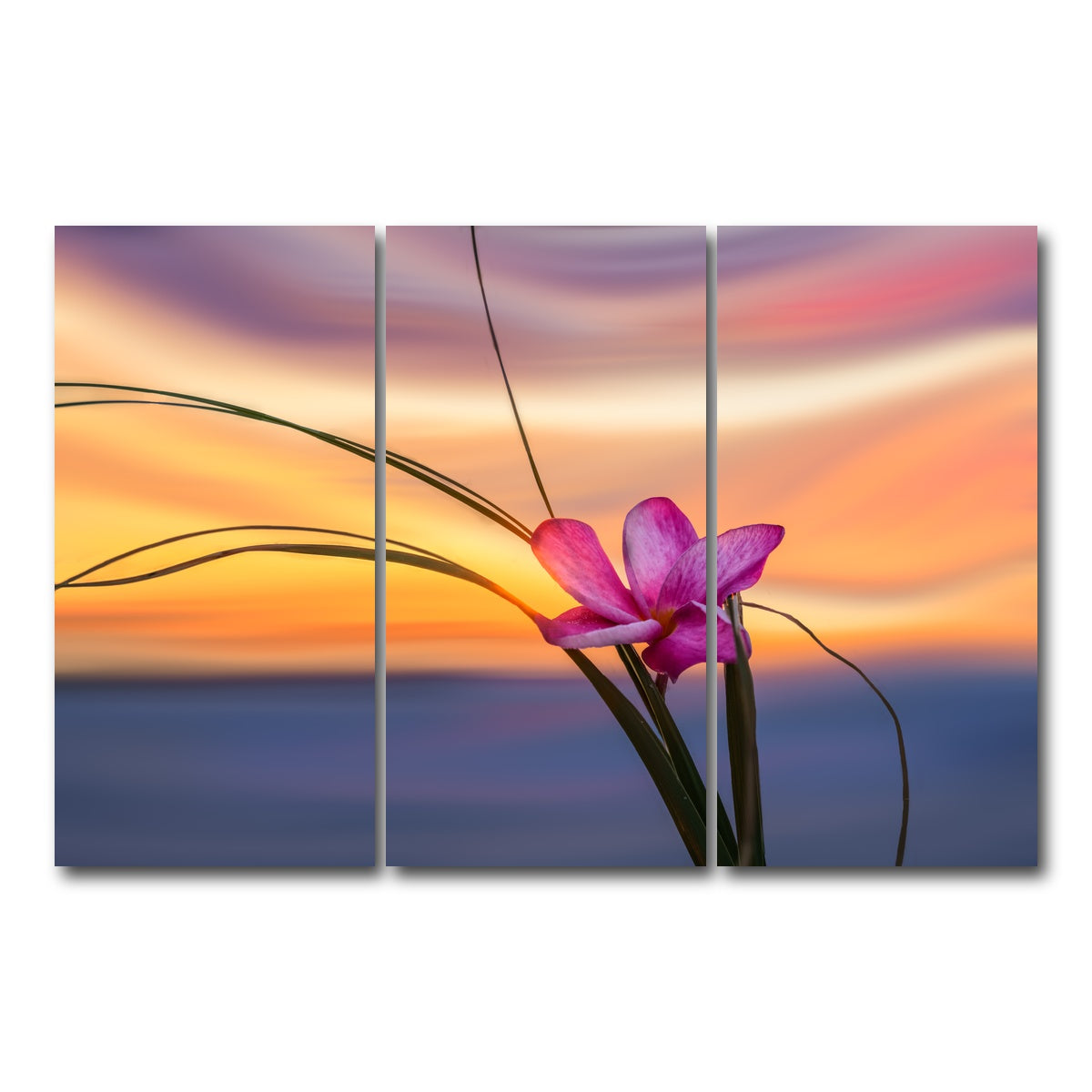 AUTO-MOCKUP WHITE | She Loves Me | 3 Piece | Gallery Wrap Canvas | group=12x24