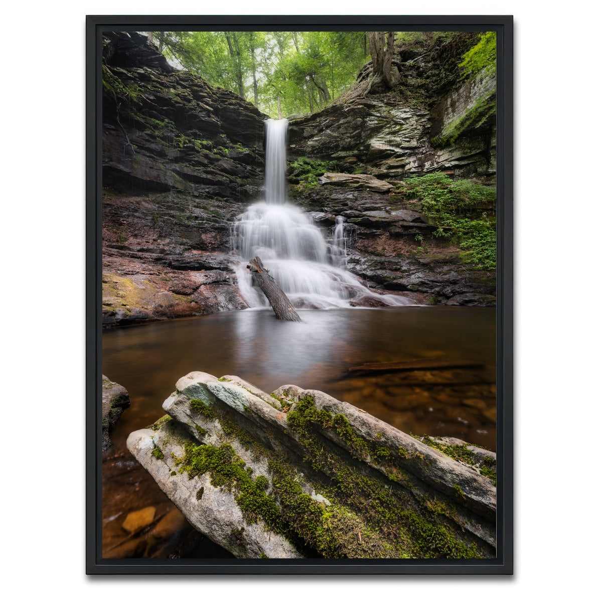 AUTO-MOCKUP WHITE | Sheldon Reynolds Falls | 1 Piece | Black Framed Canvas | group=3x4