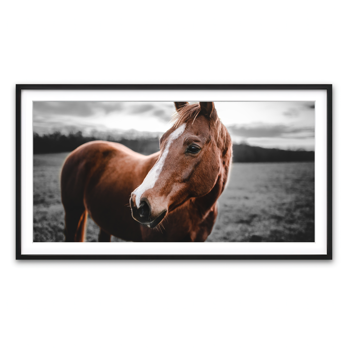 Framed Print 2x1 Black
