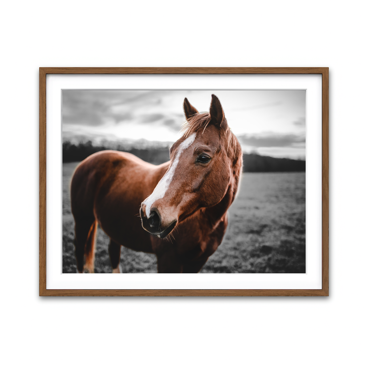 Framed Print 4x3 Walnut