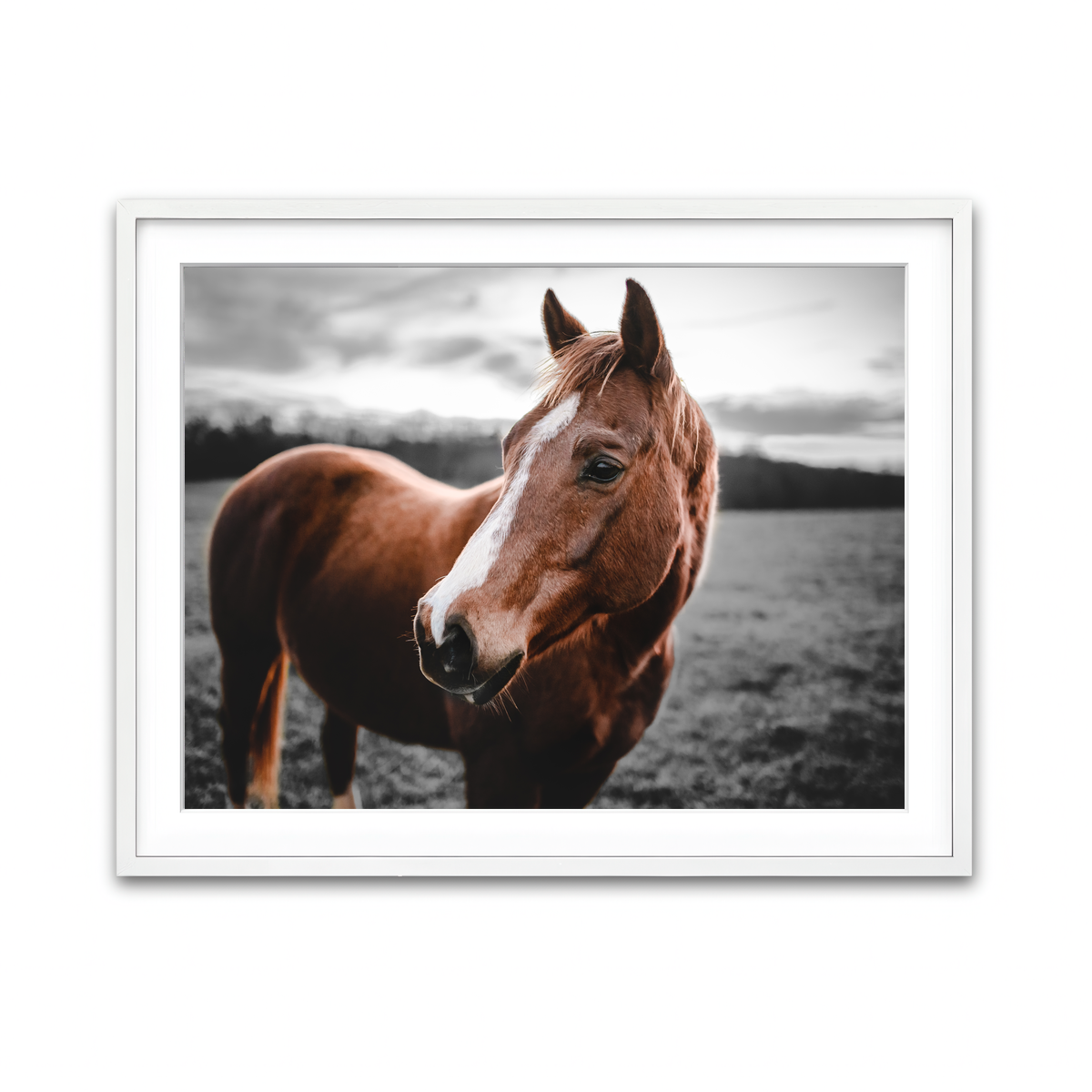 Framed Print 4x3 White