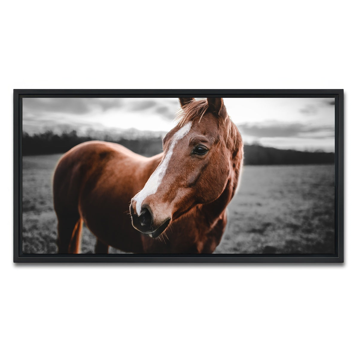 AUTO-MOCKUP WHITE | Shining Horse | 1 Piece | Black Framed Canvas | group=2x1