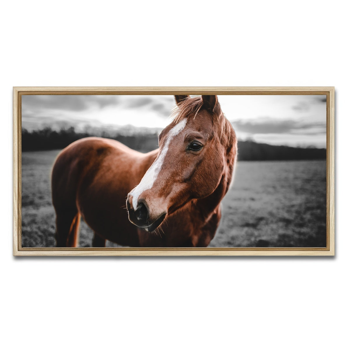 AUTO-MOCKUP WHITE | Shining Horse | 1 Piece | Natural Framed Canvas | group=2x1