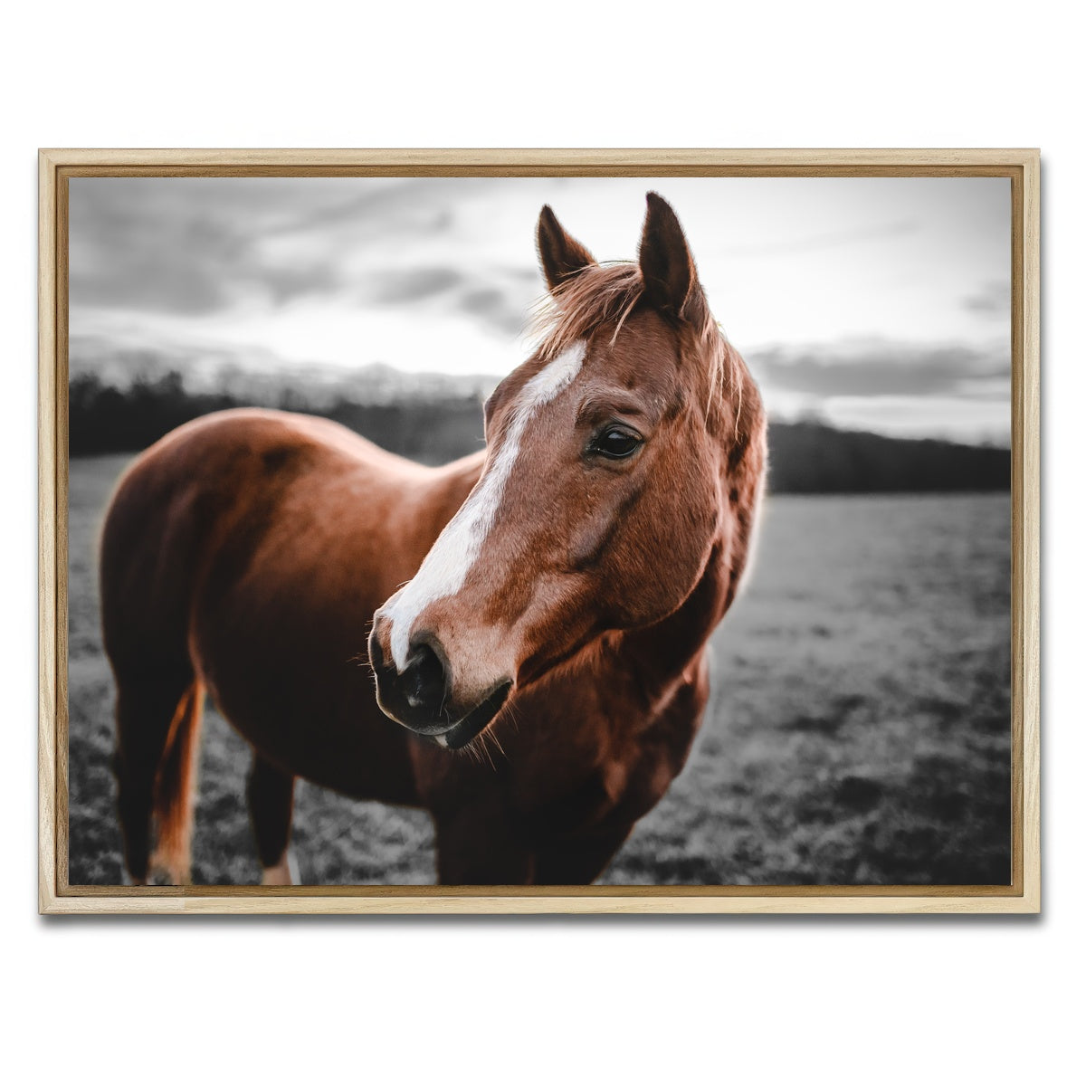 AUTO-MOCKUP WHITE | Shining Horse | 1 Piece | Natural Framed Canvas | group=4x3