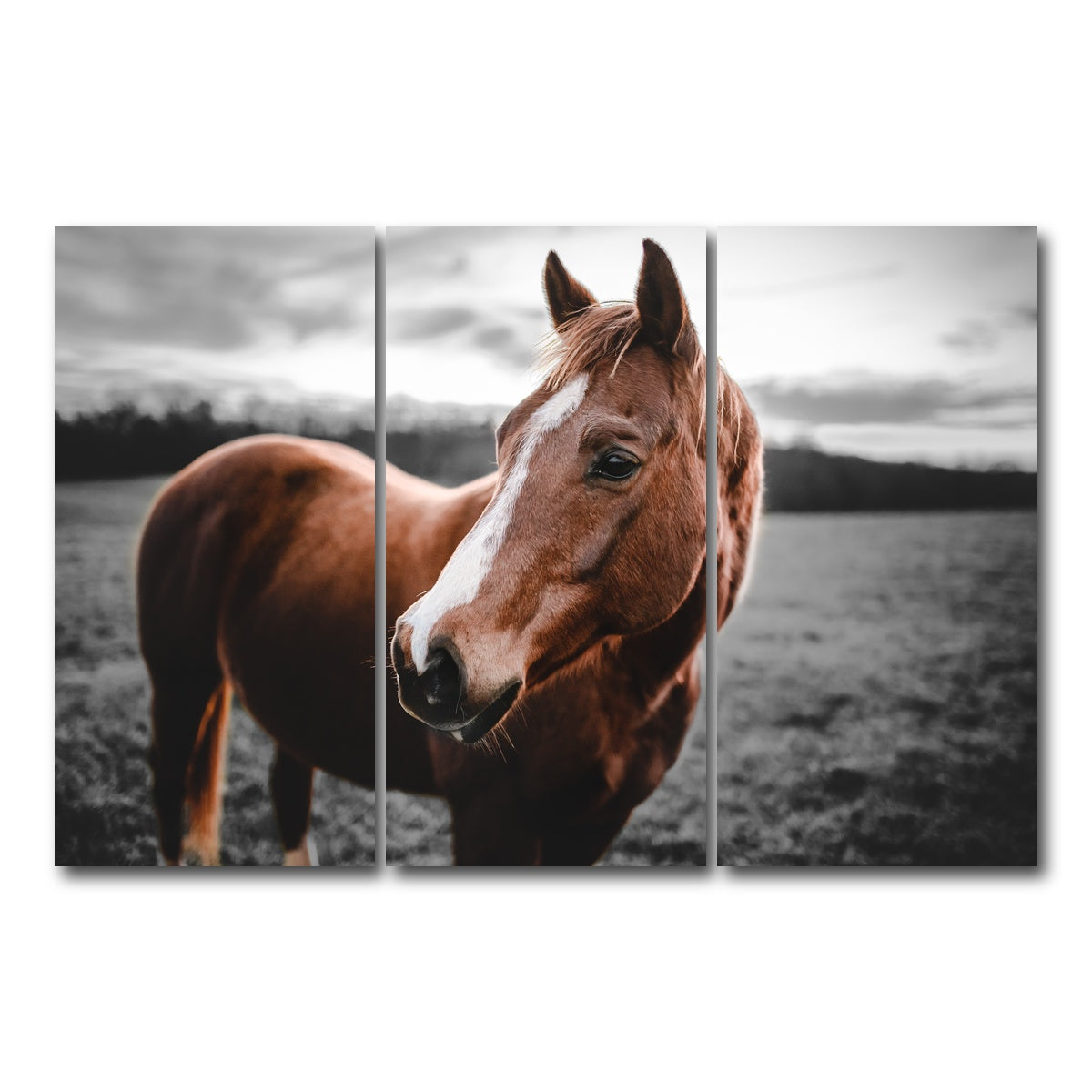 AUTO-MOCKUP WHITE | Shining Horse | 3 Piece | Gallery Wrap Canvas | group=12x24