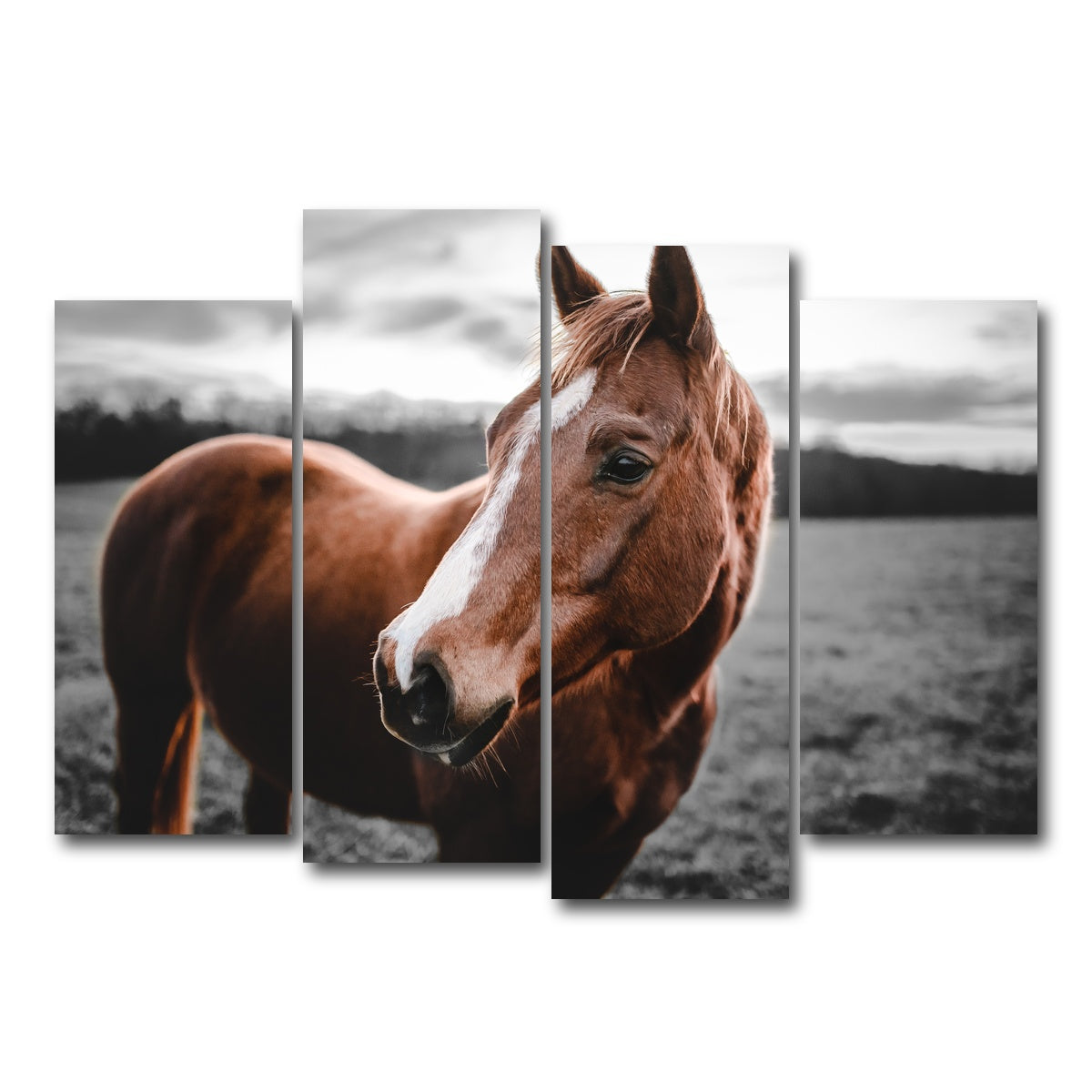 AUTO-MOCKUP WHITE | Shining Horse | 4 Piece | Gallery Wrap Canvas | group=4_normal