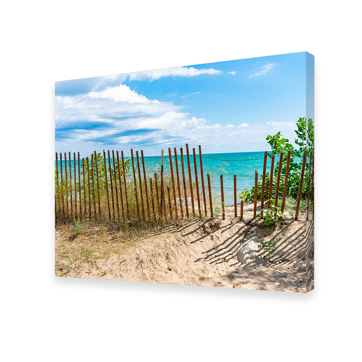 Shoreline with Fence in Evanston Wall Art