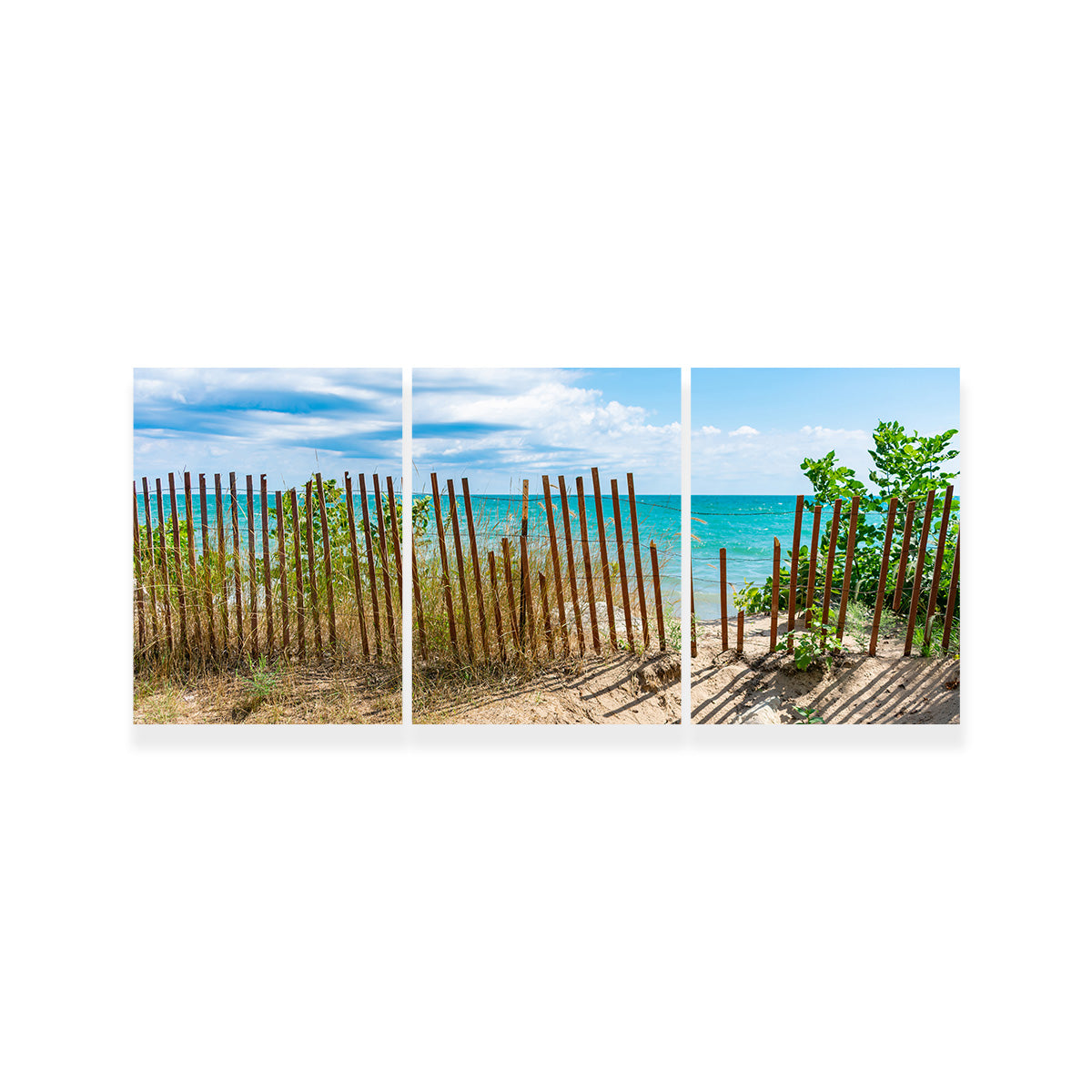 Shoreline with Fence in Evanston Wall Art