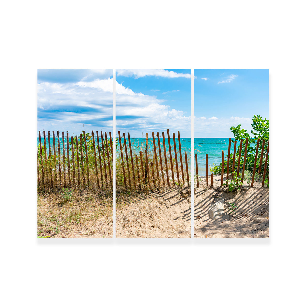 Shoreline with Fence in Evanston Wall Art