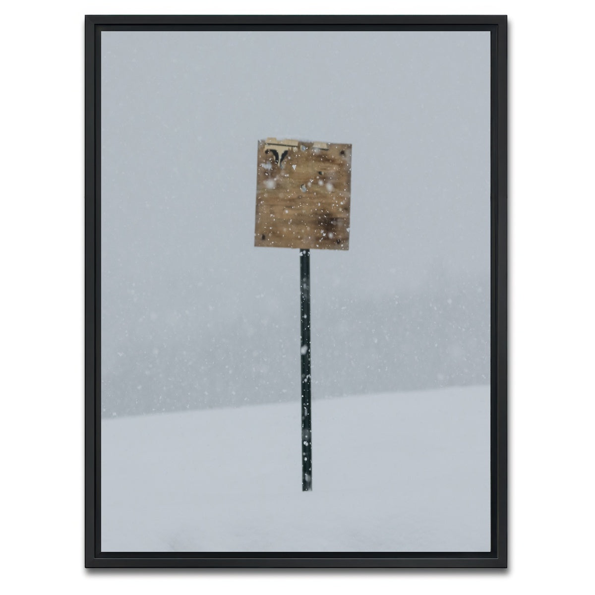 AUTO-MOCKUP WHITE | Sign of the Times | 1 Piece | Black Framed Canvas | group=3x4