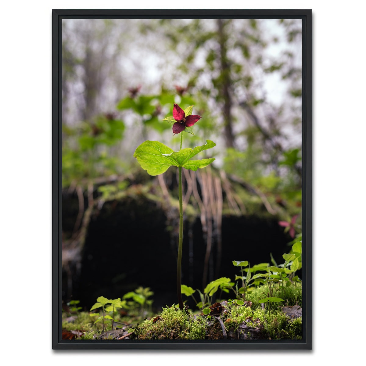 AUTO-MOCKUP WHITE | Simple Scene | 1 Piece | Black Framed Canvas | group=3x4