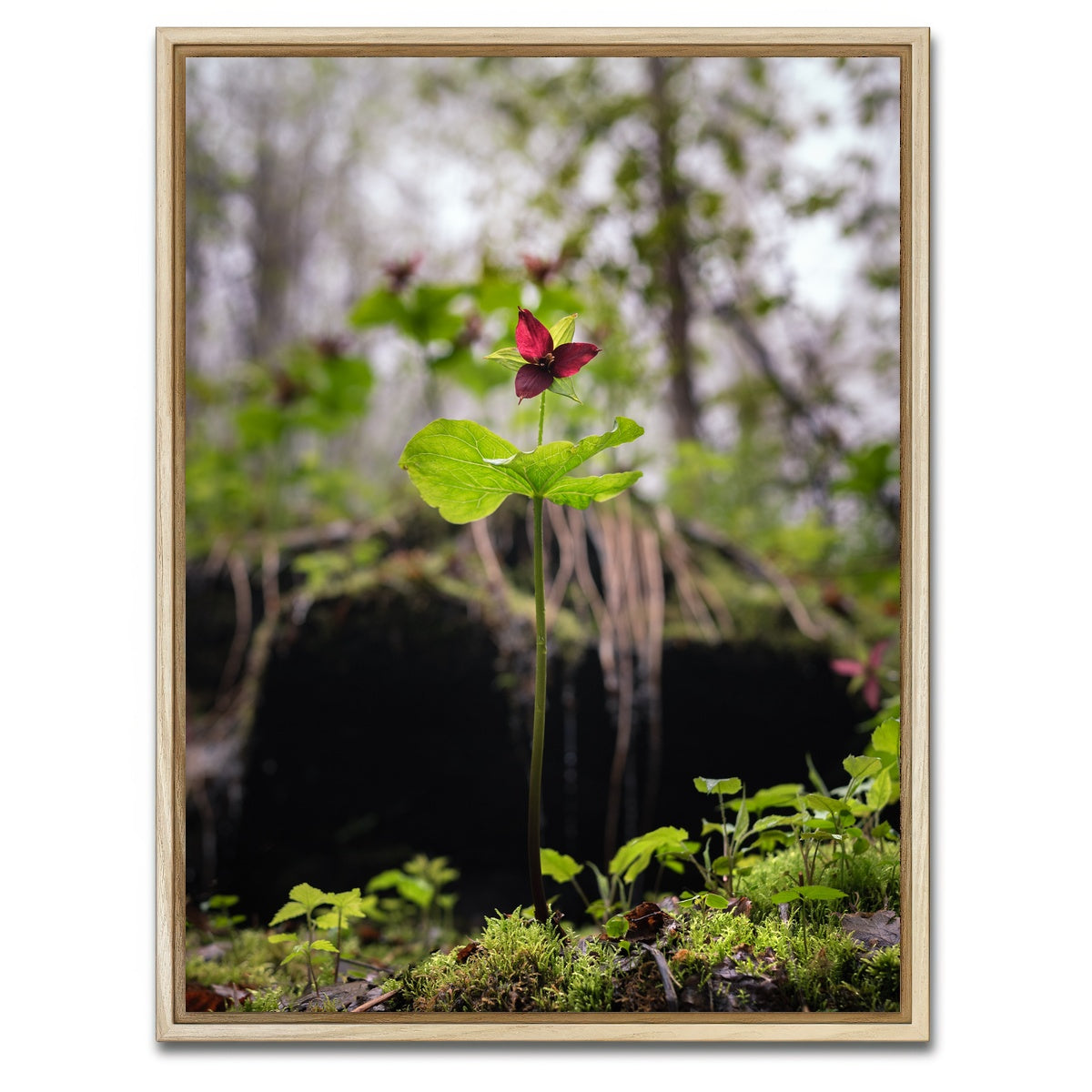 AUTO-MOCKUP WHITE | Simple Scene | 1 Piece | Natural Framed Canvas | group=3x4