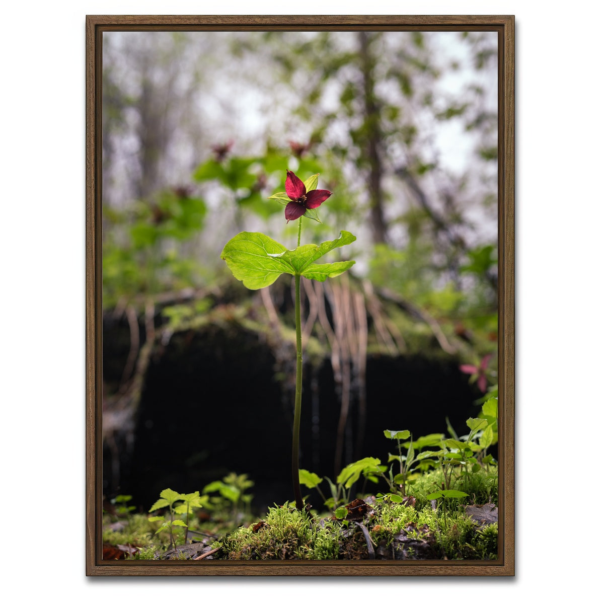 AUTO-MOCKUP WHITE | Simple Scene | 1 Piece | Walnut Framed Canvas | group=3x4
