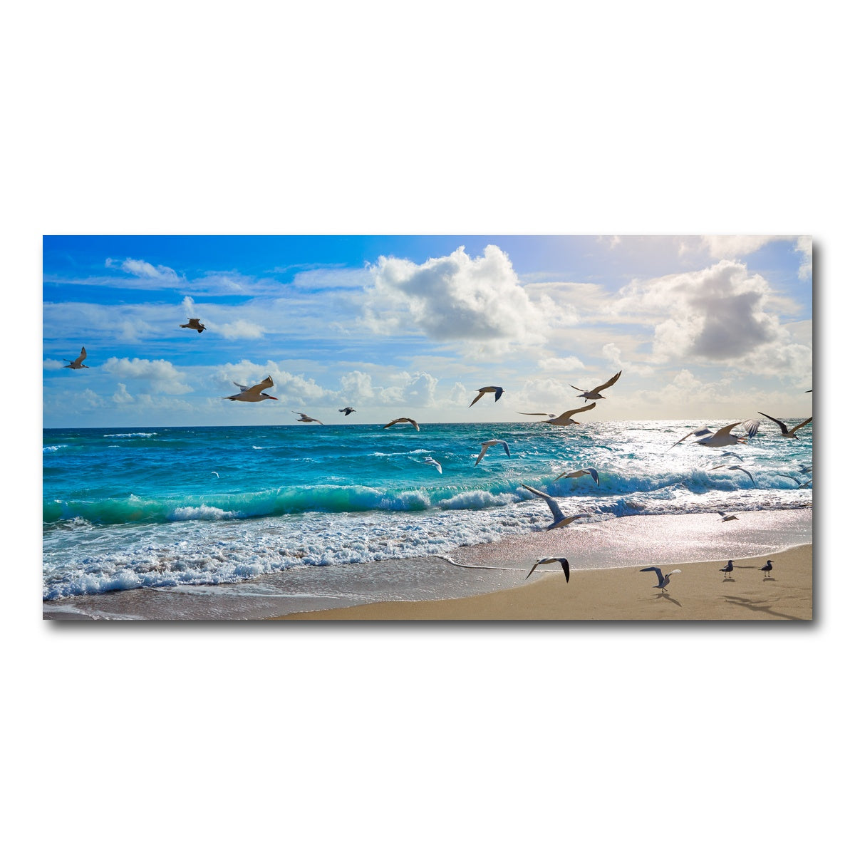AUTO-MOCKUP WHITE | Singer Island beach seagulls | 1 Piece | Gallery Wrap Canvas | group=2x1