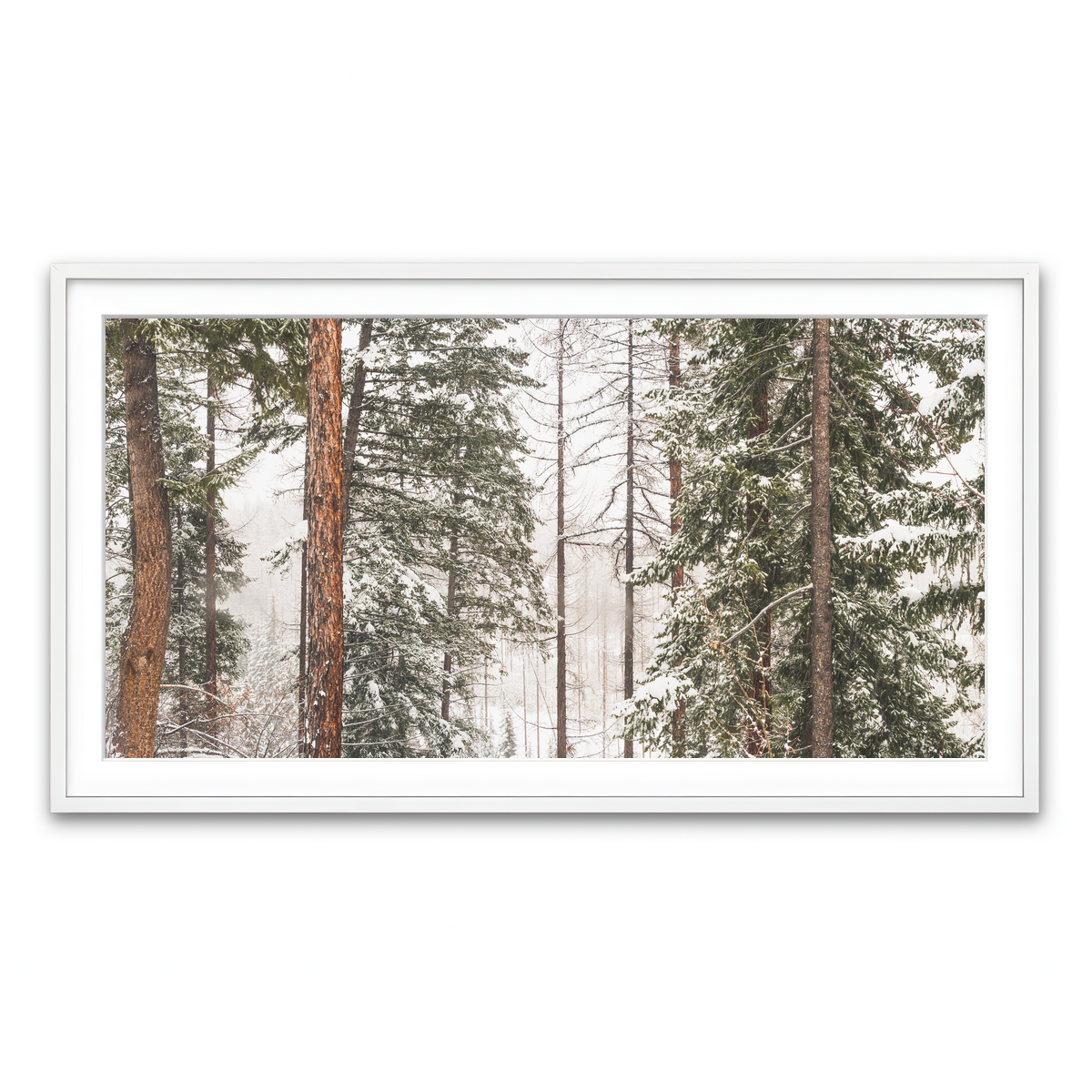 Framed Print 2x1 White