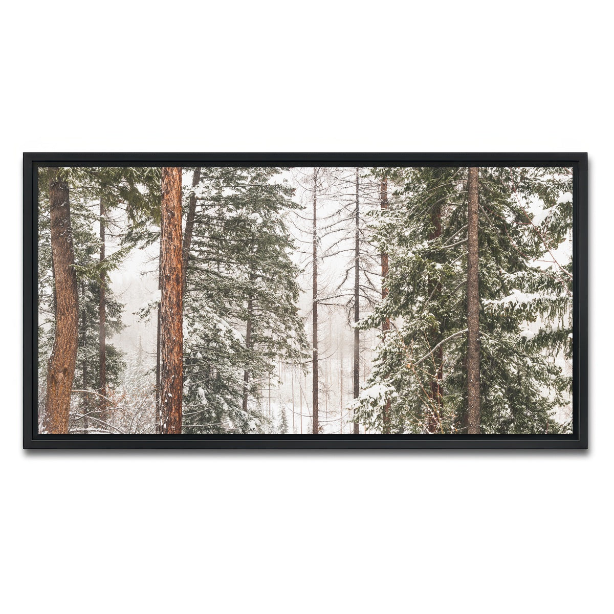 AUTO-MOCKUP WHITE | Snow in Lois Creek | 1 Piece | Black Framed Canvas | group=2x1