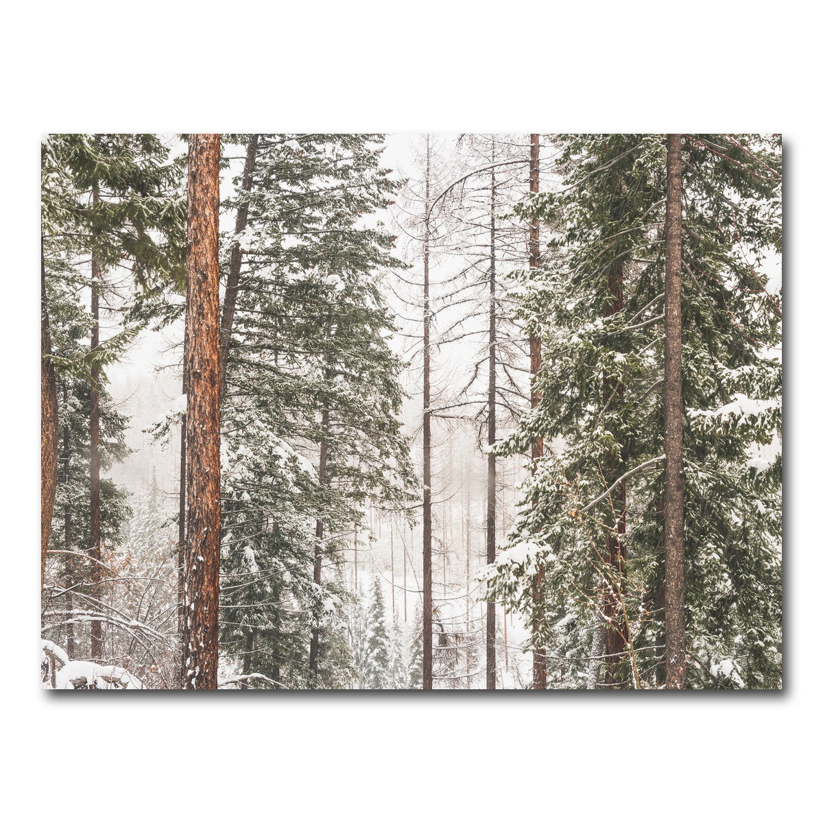 AUTO-MOCKUP WHITE | Snow in Lois Creek | 1 Piece | Gallery Wrap Canvas | group=4x3