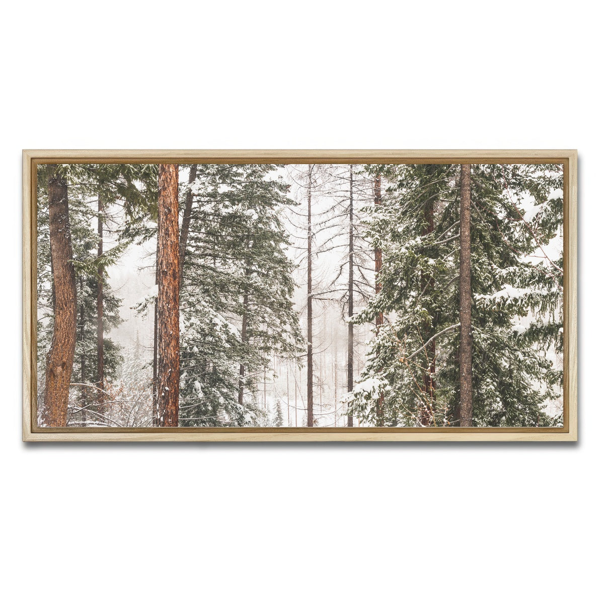 AUTO-MOCKUP WHITE | Snow in Lois Creek | 1 Piece | Natural Framed Canvas | group=2x1