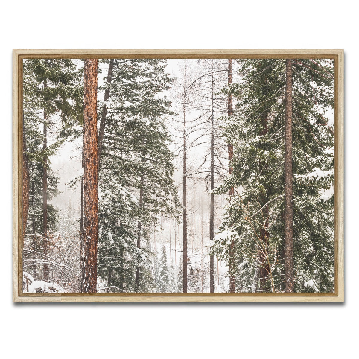 AUTO-MOCKUP WHITE | Snow in Lois Creek | 1 Piece | Natural Framed Canvas | group=4x3