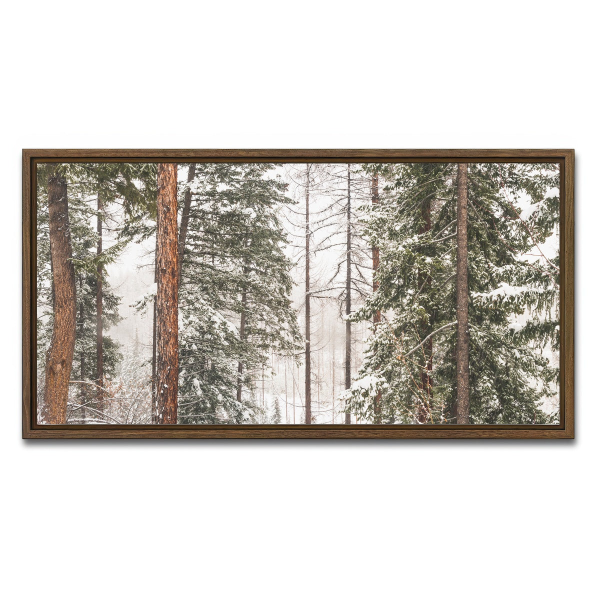 AUTO-MOCKUP WHITE | Snow in Lois Creek | 1 Piece | Walnut Framed Canvas | group=2x1