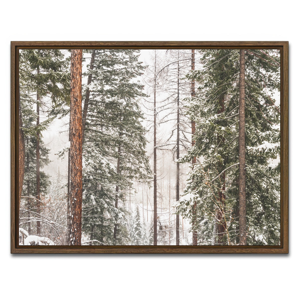 AUTO-MOCKUP WHITE | Snow in Lois Creek | 1 Piece | Walnut Framed Canvas | group=4x3