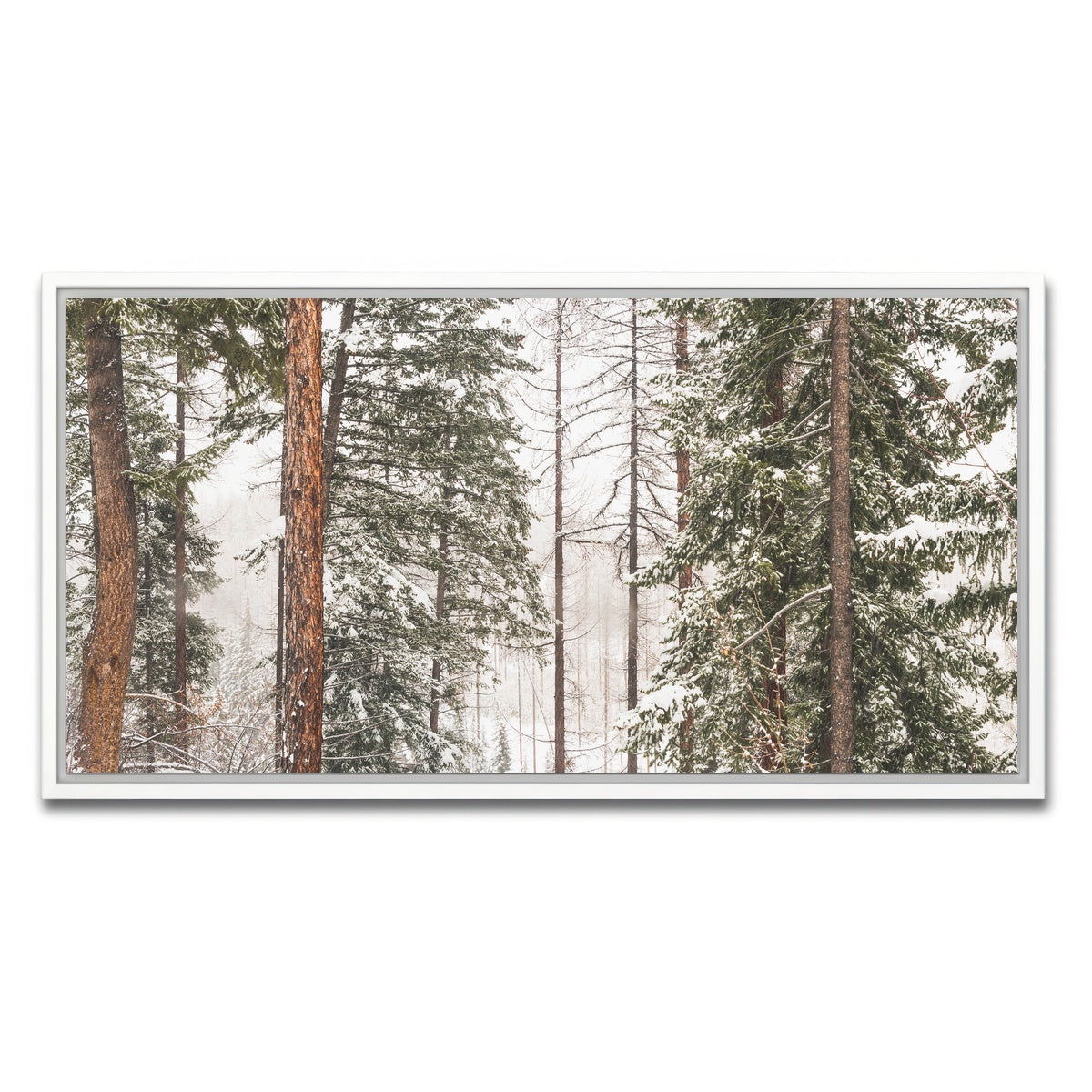 AUTO-MOCKUP WHITE | Snow in Lois Creek | 1 Piece | White Framed Canvas | group=2x1