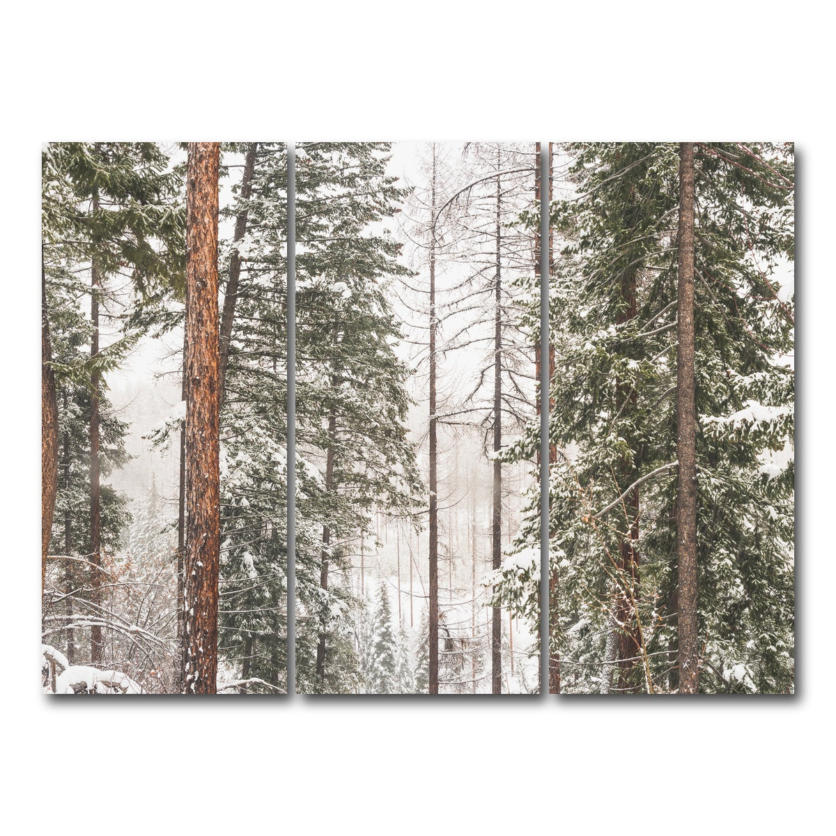 AUTO-MOCKUP WHITE | Snow in Lois Creek | 3 Piece | Gallery Wrap Canvas | group=8x18