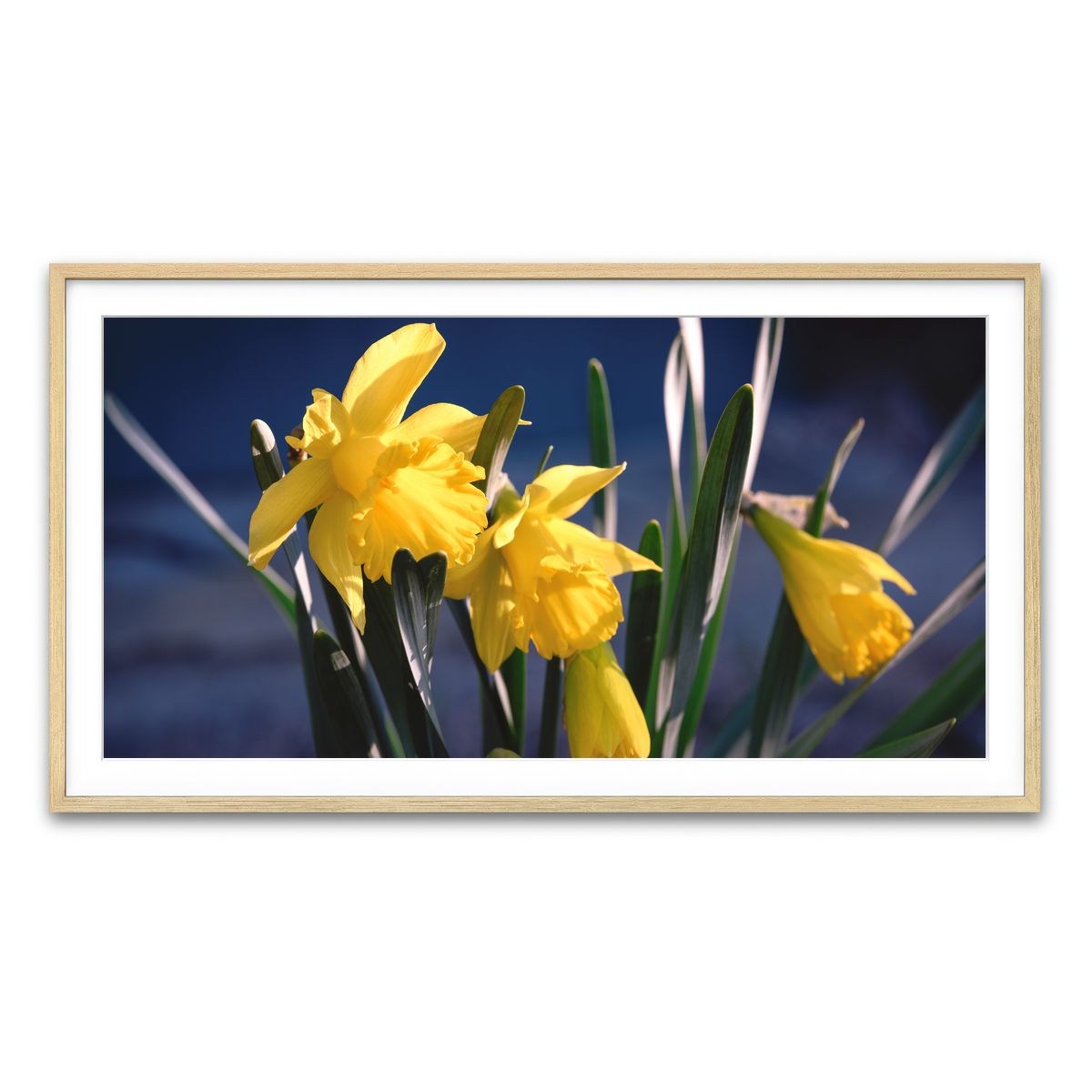 Framed Print 2x1 Natural