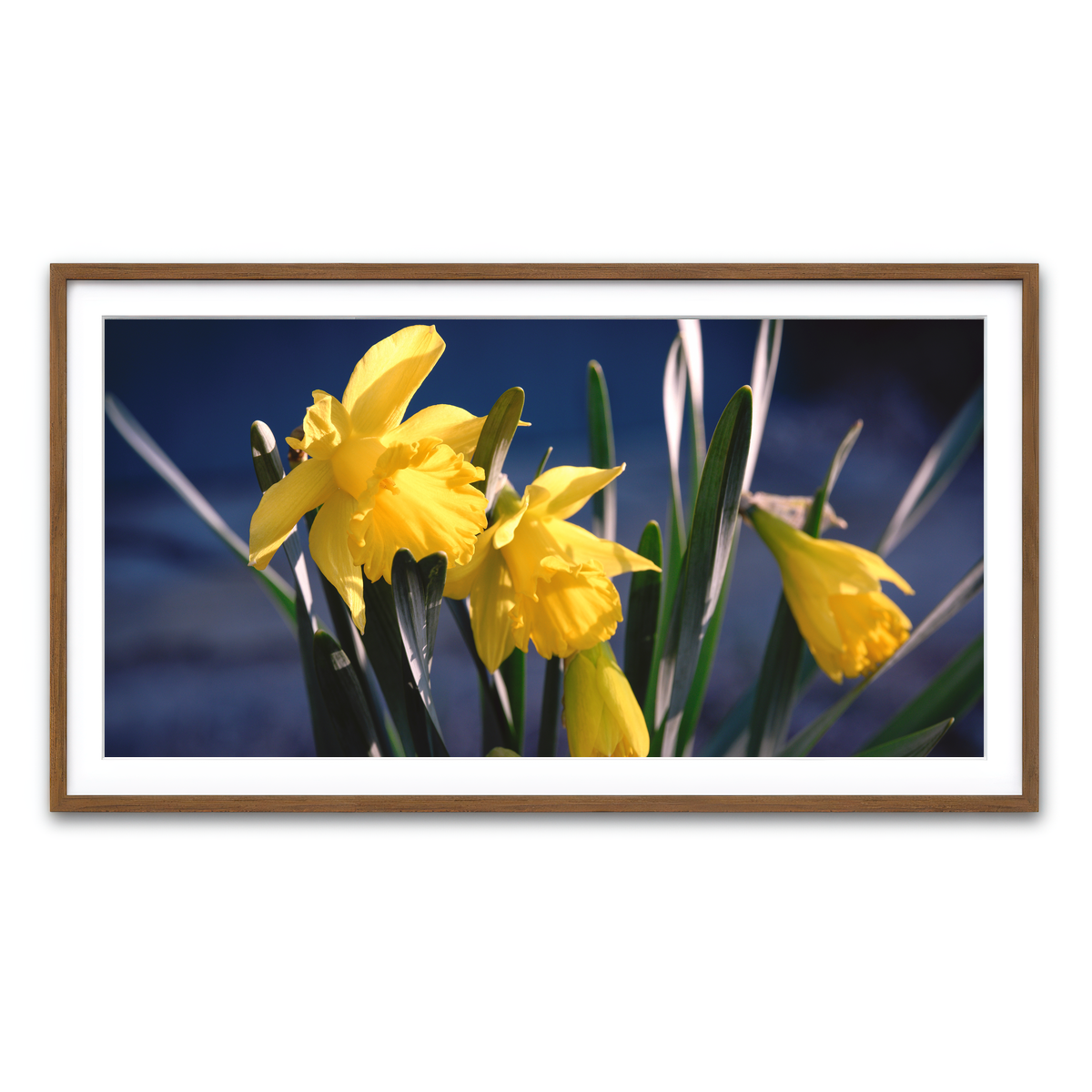 Framed Print 2x1 Walnut