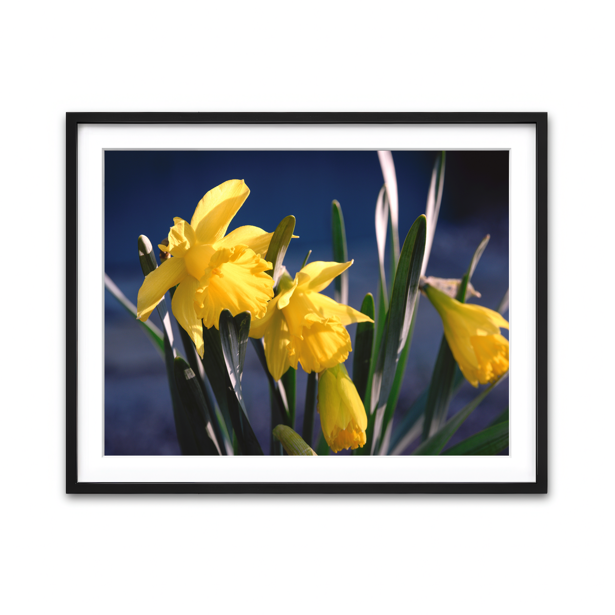 Framed Print 4x3 Black