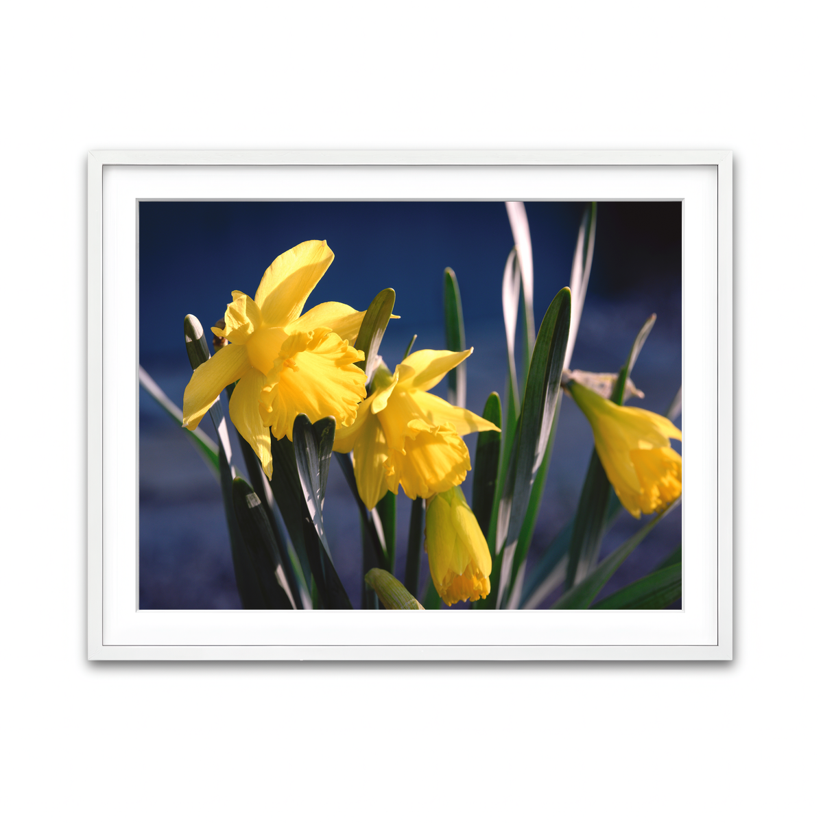 Framed Print 4x3 White