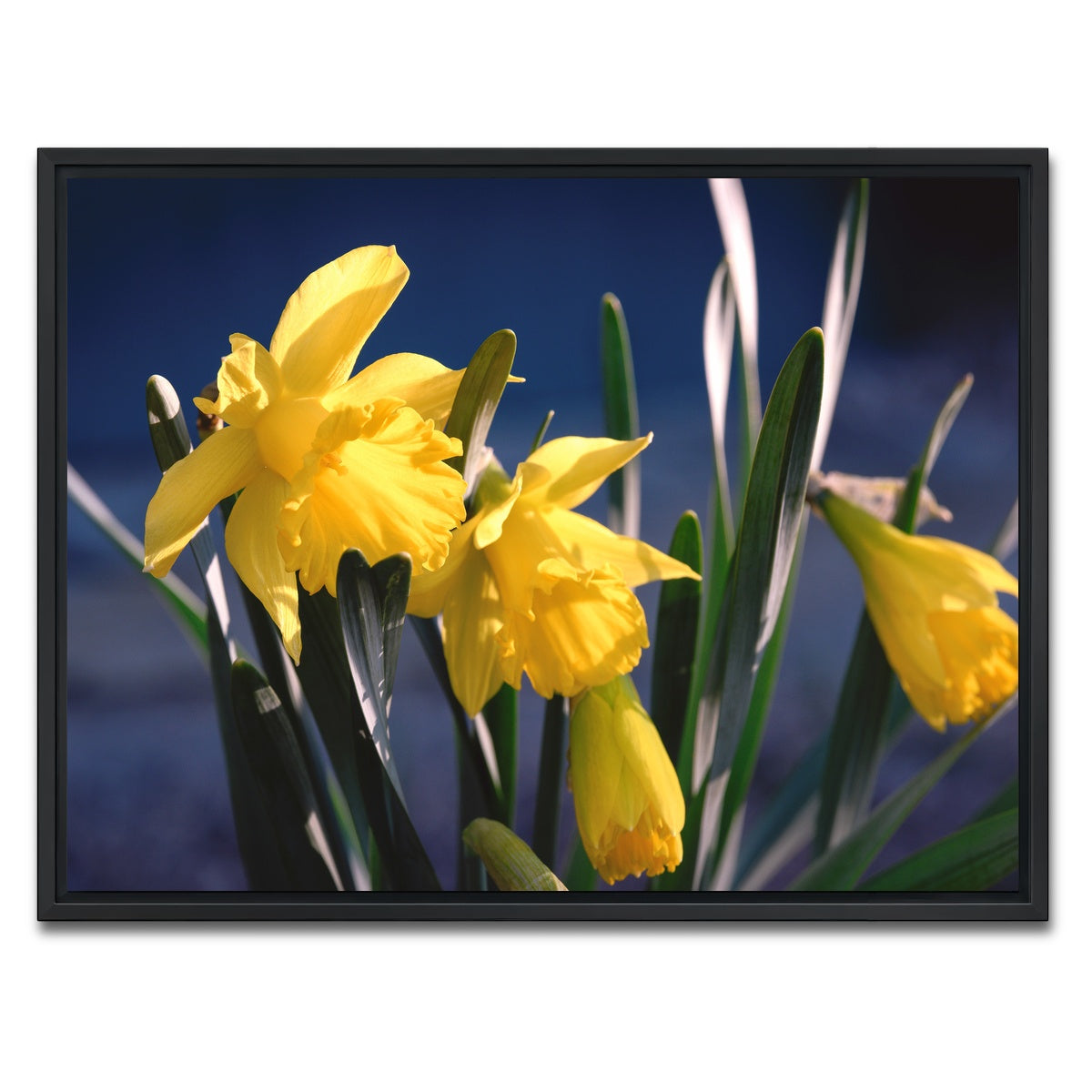 AUTO-MOCKUP WHITE | Spring Bloom | 1 Piece | Black Framed Canvas | group=4x3