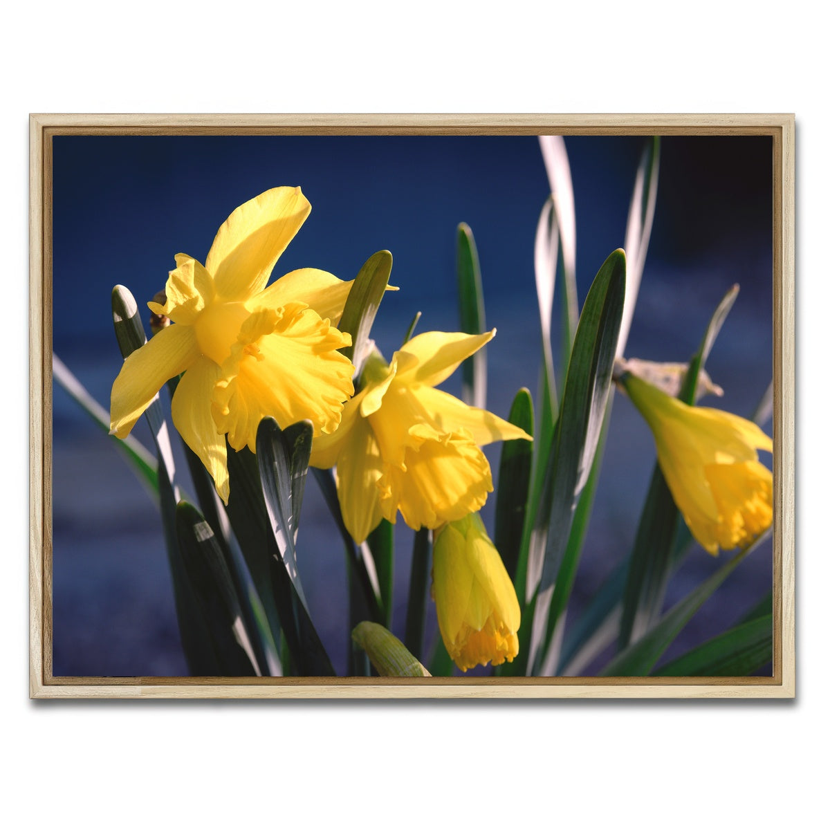 AUTO-MOCKUP WHITE | Spring Bloom | 1 Piece | Natural Framed Canvas | group=4x3