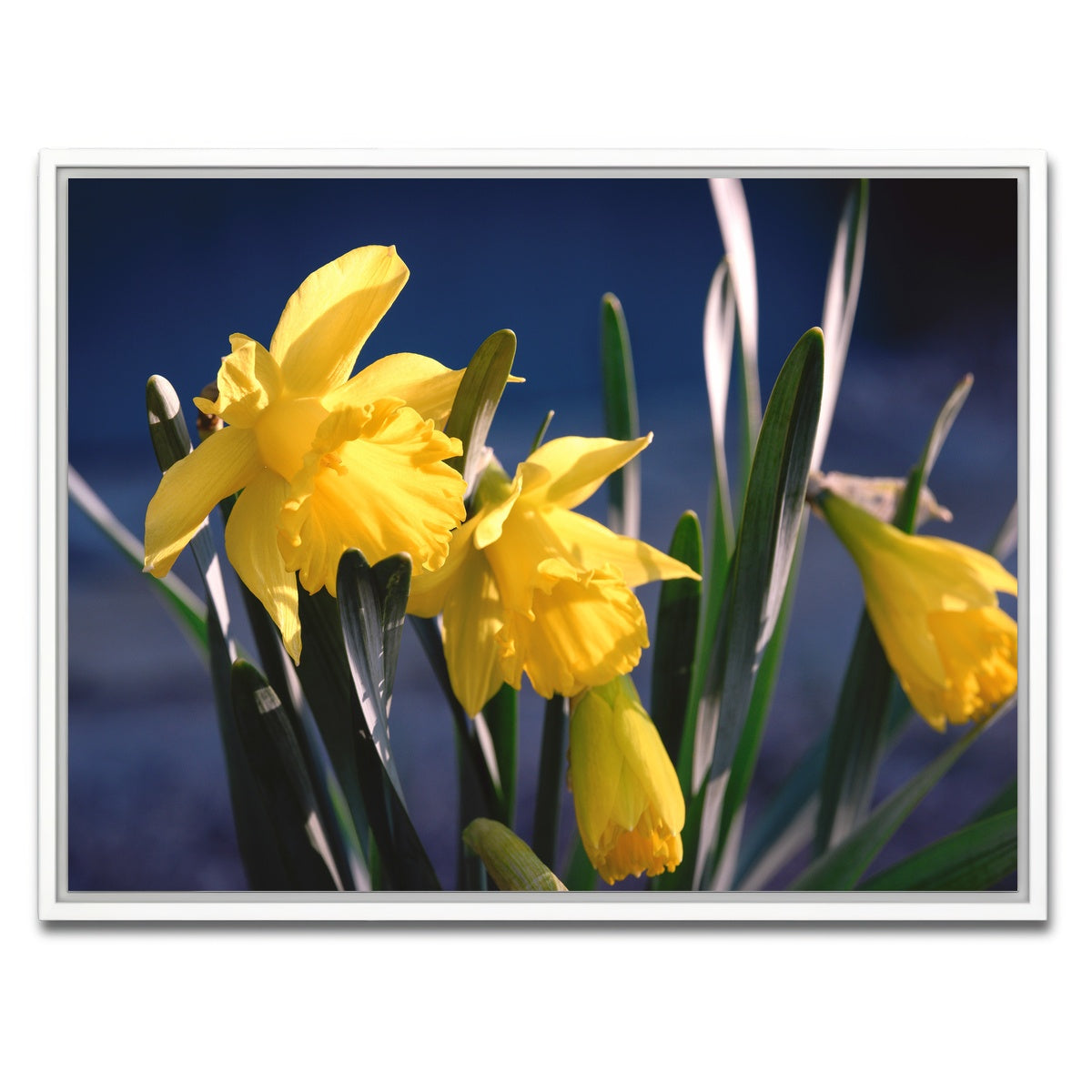 AUTO-MOCKUP WHITE | Spring Bloom | 1 Piece | White Framed Canvas | group=4x3