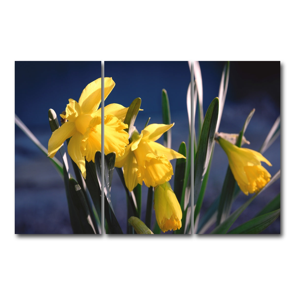 AUTO-MOCKUP WHITE | Spring Bloom | 3 Piece | Gallery Wrap Canvas | group=12x24