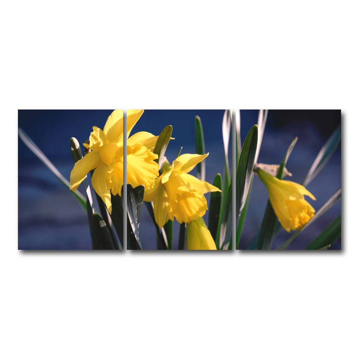 AUTO-MOCKUP WHITE | Spring Bloom | 3 Piece | Gallery Wrap Canvas | group=18x24