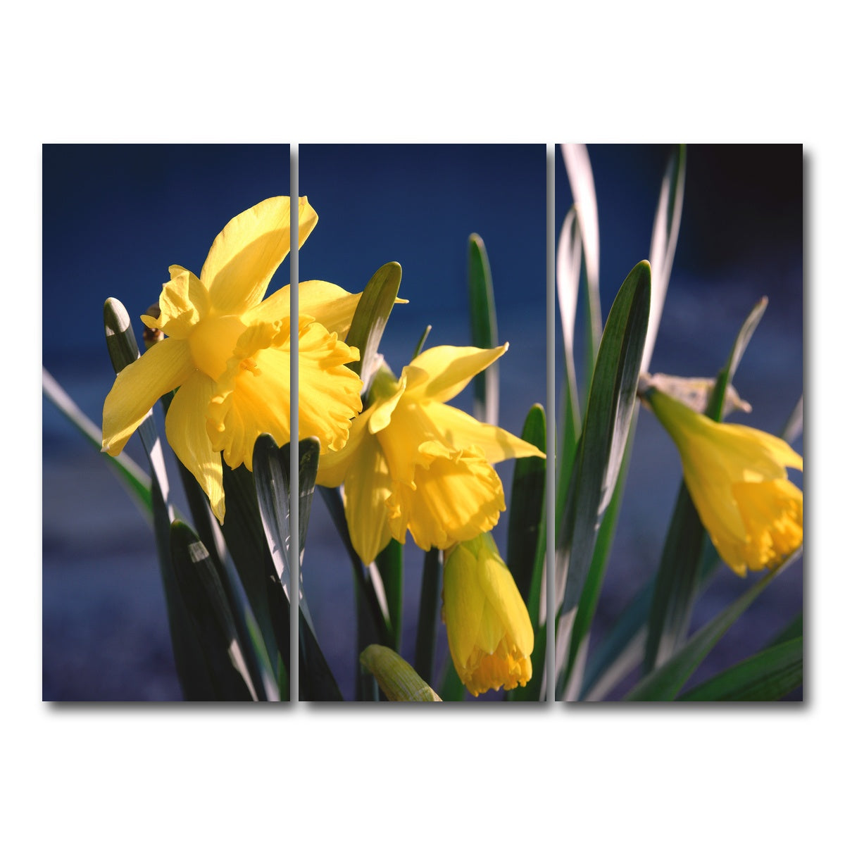 AUTO-MOCKUP WHITE | Spring Bloom | 3 Piece | Gallery Wrap Canvas | group=8x18