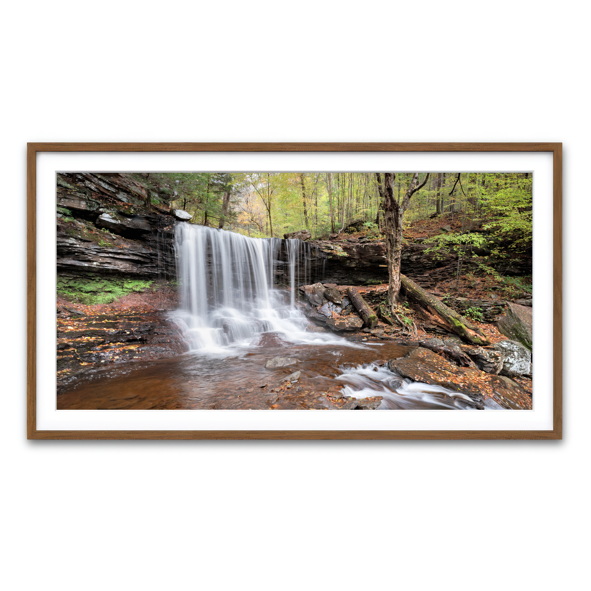 Framed Print 2x1 Walnut