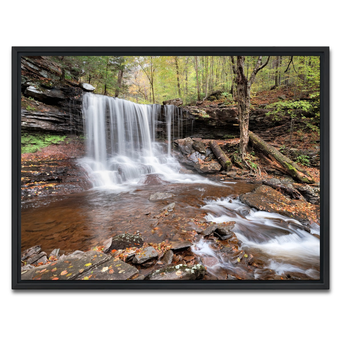 AUTO-MOCKUP WHITE | Spring Time in the Fall | 1 Piece | Black Framed Canvas | group=4x3