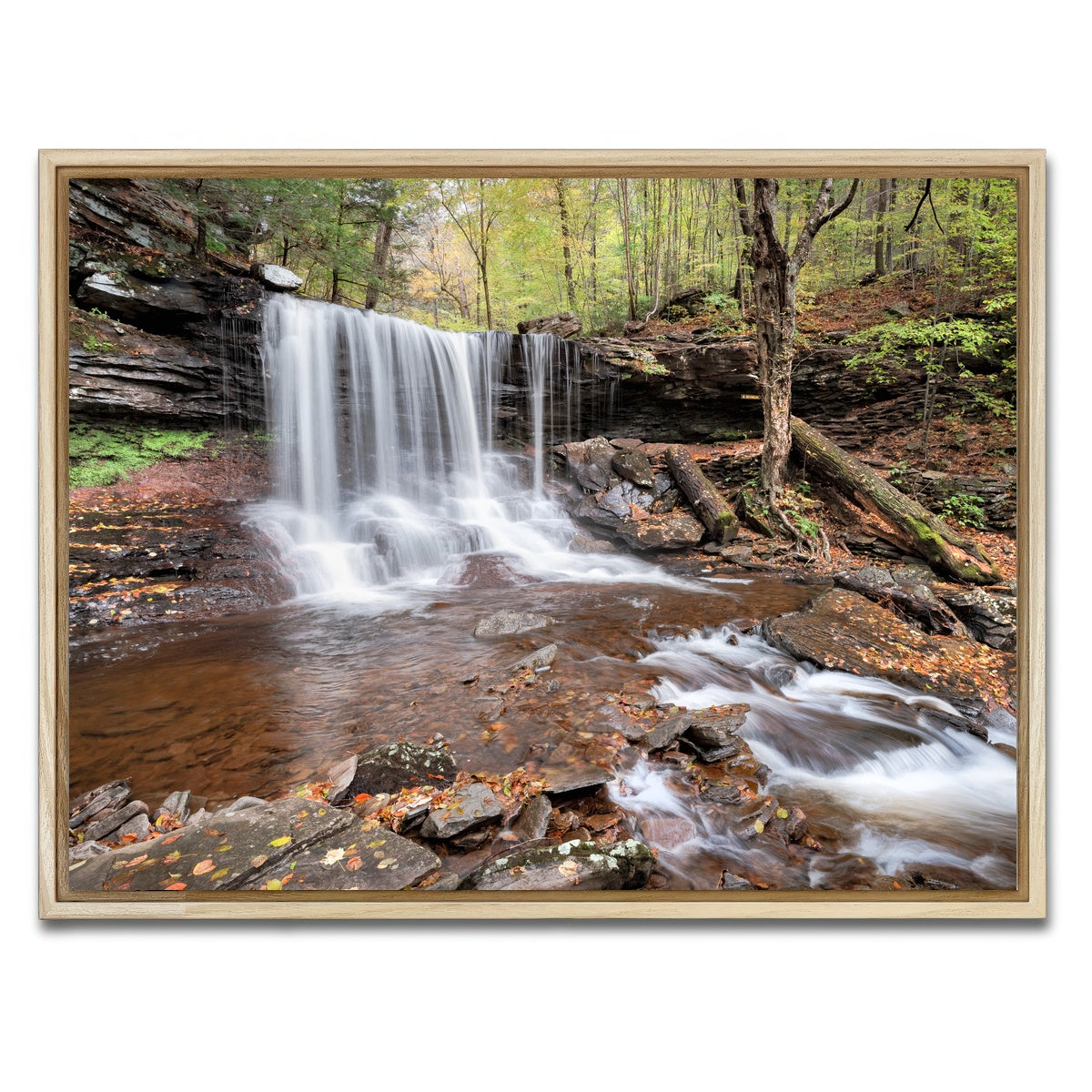 AUTO-MOCKUP WHITE | Spring Time in the Fall | 1 Piece | Natural Framed Canvas | group=4x3