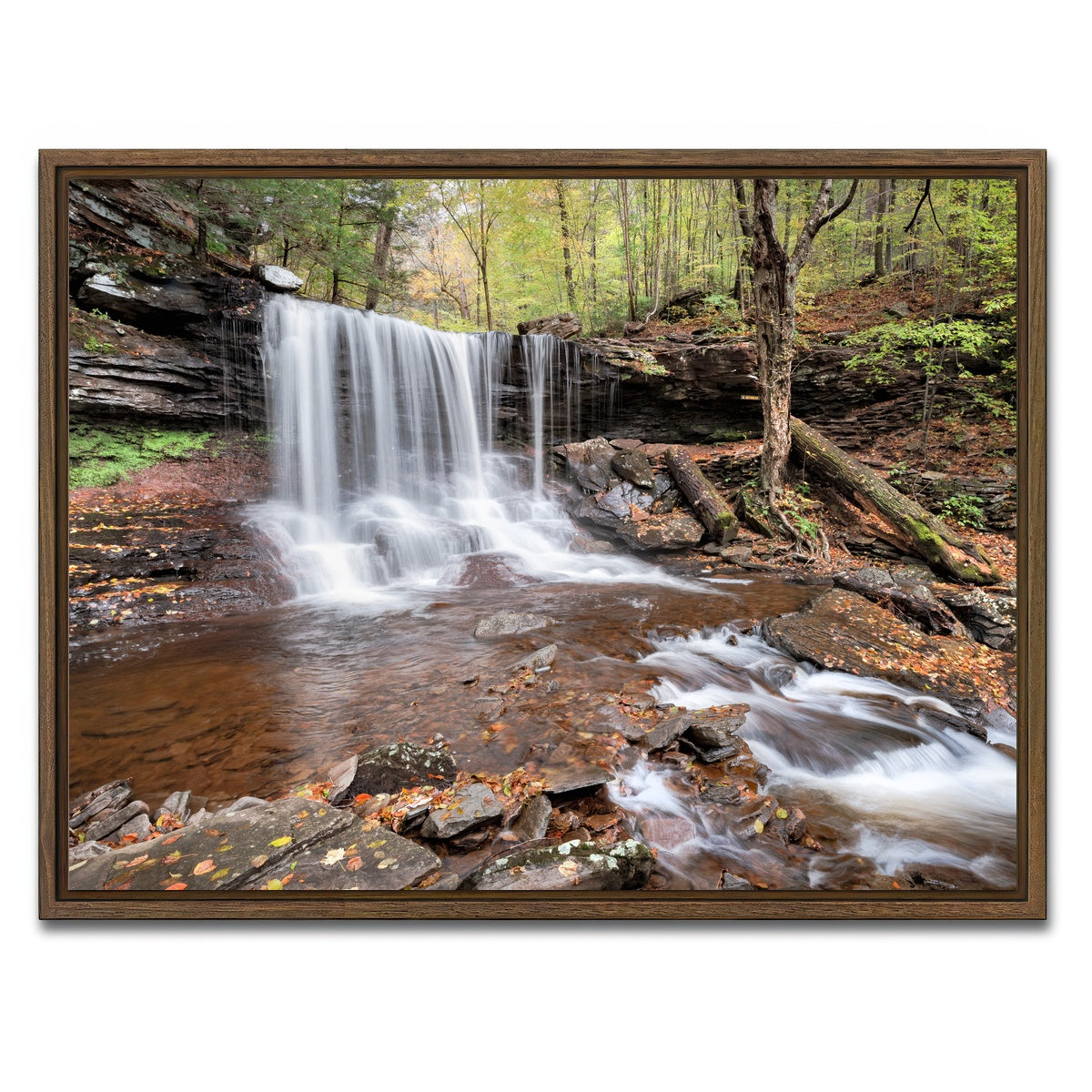 AUTO-MOCKUP WHITE | Spring Time in the Fall | 1 Piece | Walnut Framed Canvas | group=4x3